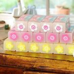 پاک کن مغزدار شکوفه جعبه طلق 99534